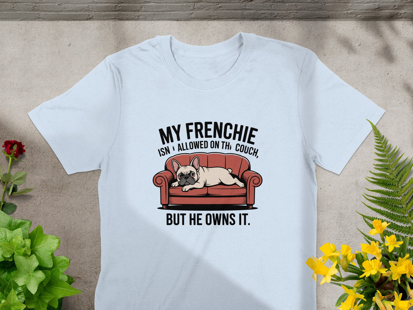 My Frenchie Isn't Allowed On Couch But He Owns It product