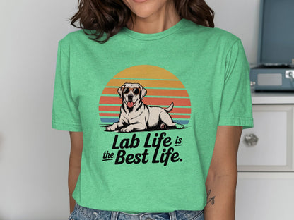 1d1a6fb9-f370-44a4-bcf8-8aa5637e299e