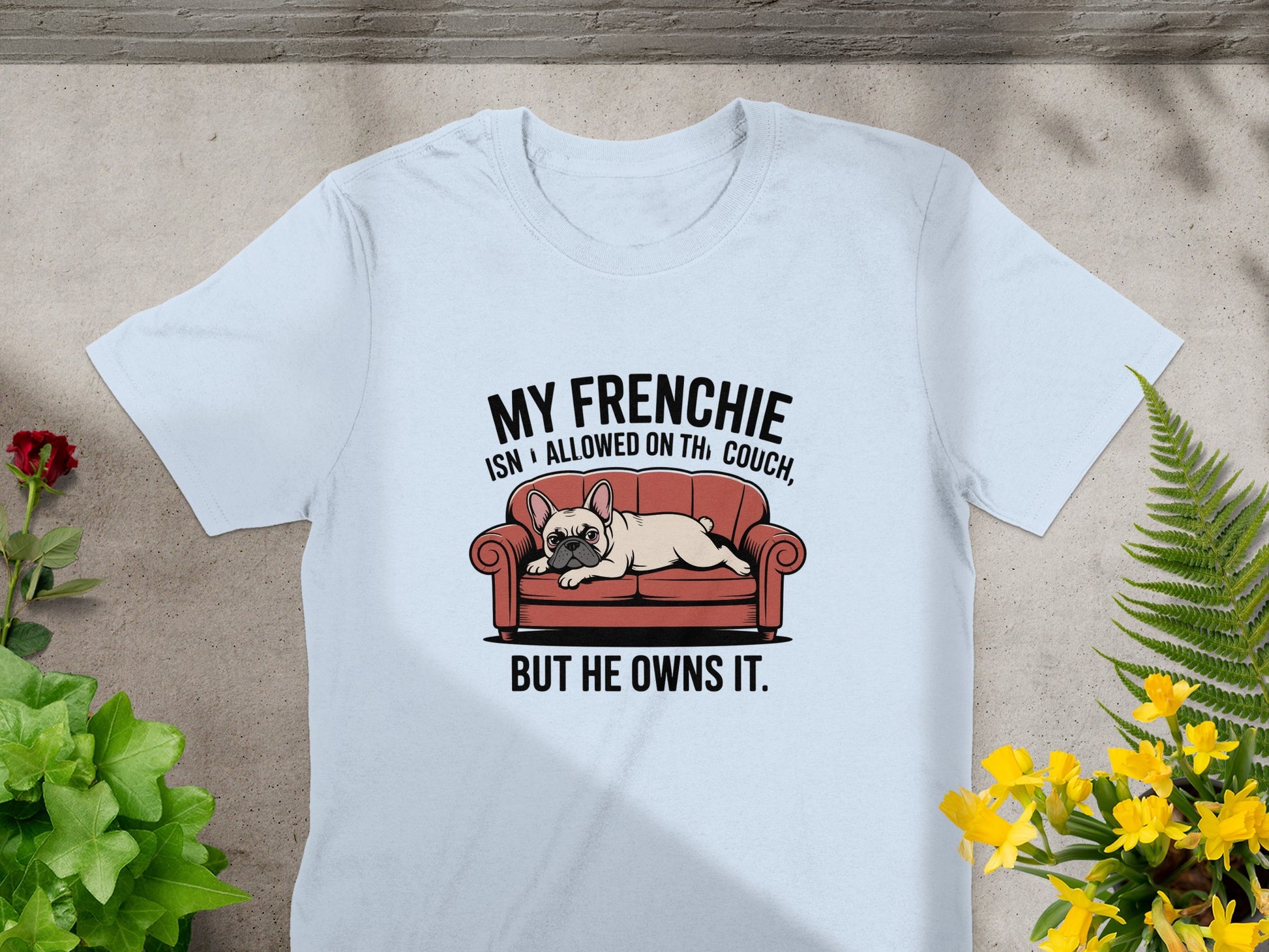 My Frenchie Isn't Allowed On Couch But He Owns It product
